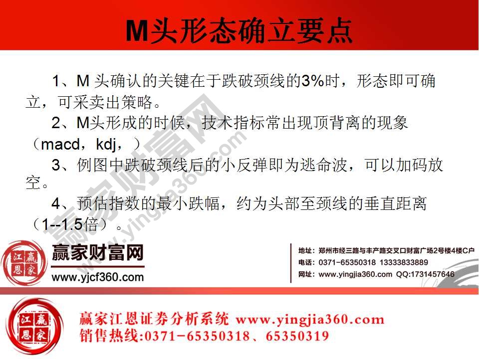 M頭形態確立要點