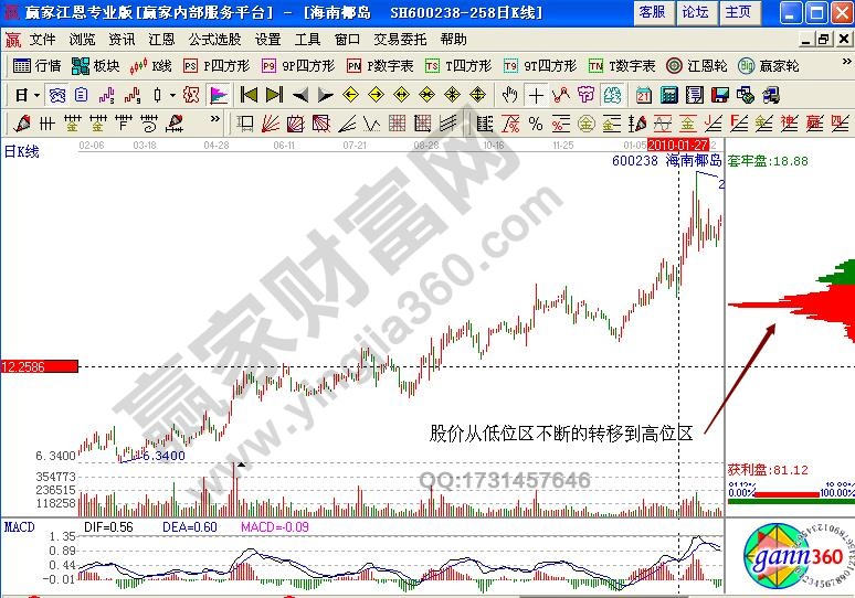 海南椰島籌碼分布實戰