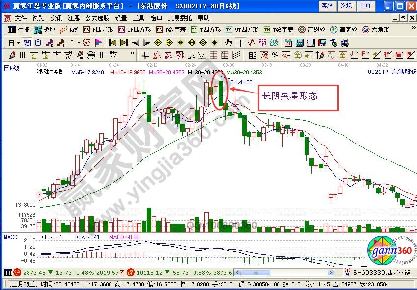 長陰夾星形態詳解