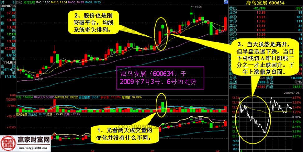 海鳥發展的走勢圖